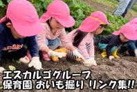 スタッフブログ　お芋掘り