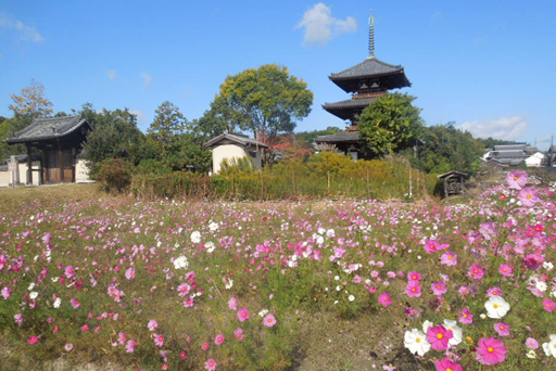 兵庫トラベルの旅行風景2